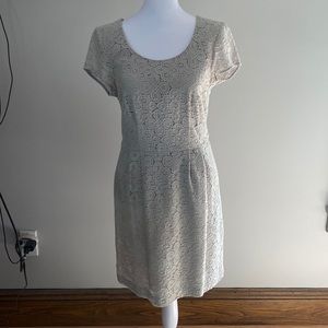 Used! Great condition! The Limited! Gray Dress! Size 2